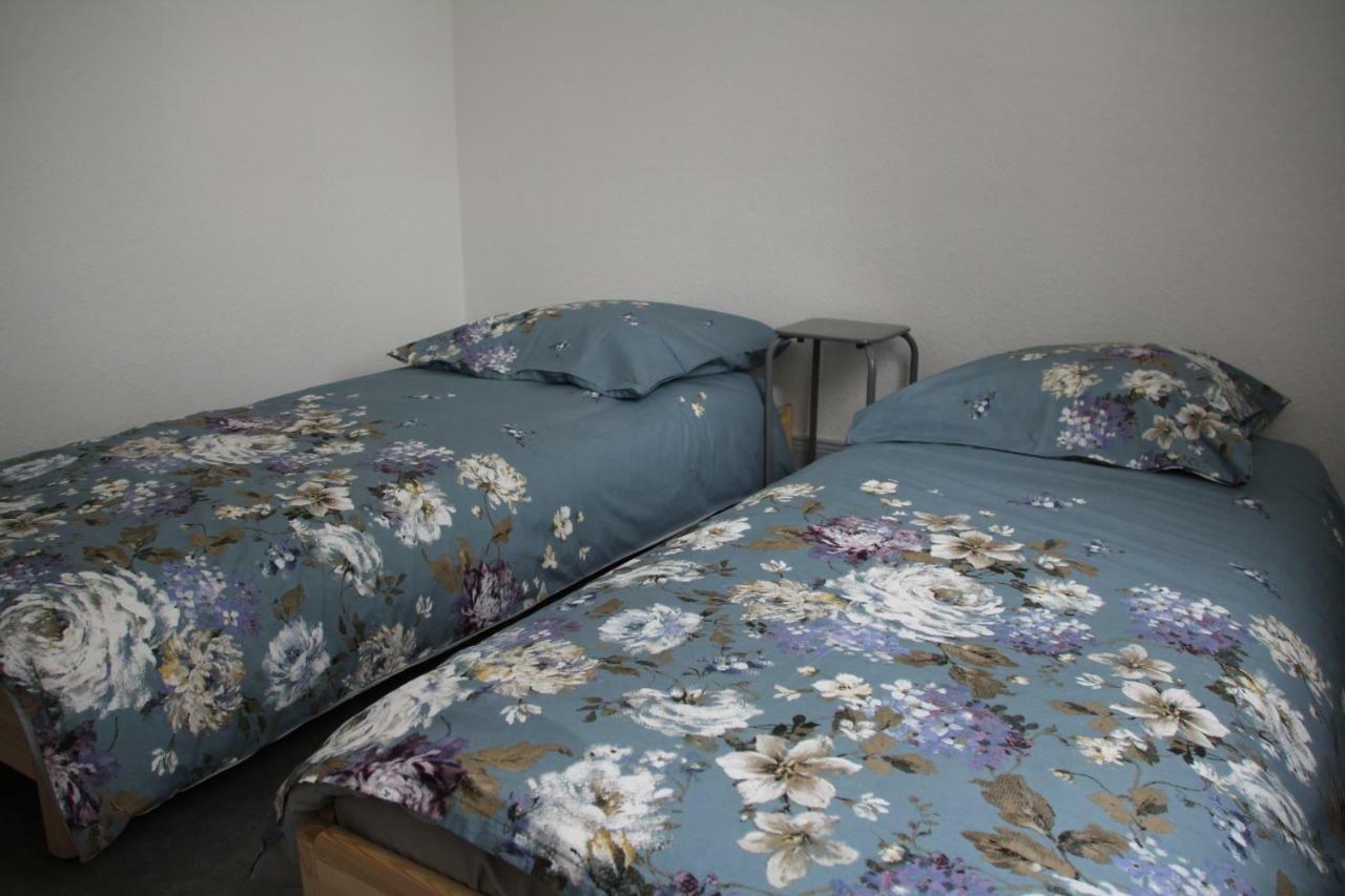 Appartement T3 Tres Calme - Le Bartholdi - Centre De Colmar Dış mekan fotoğraf